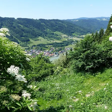 Zum Schiffmeister