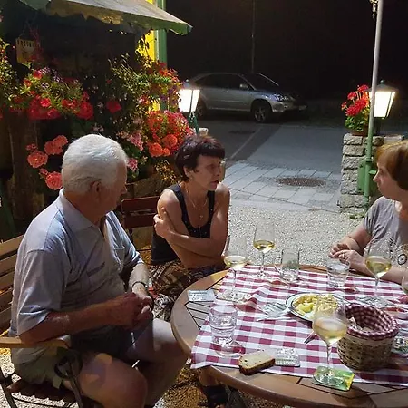 Hotel Zum Schiffmeister Wesenufer
